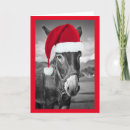 Zoek naar donkey christmas kaarten Schattig