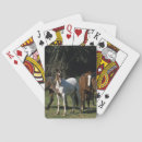 Zoek naar mustang speelkaarten Paard