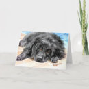 Zoek naar geduld kaarten Hond