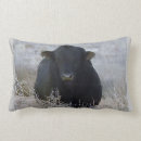 Zoek naar rodeo cowboy kussens Zwart