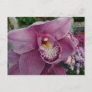 Zoek naar paarse orchidee briefkaarten Bloem