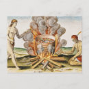 Zoek naar koken briefkaarten Vis