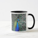 Zoek naar pauw veren mokken Vogel