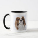 Zoek naar cavalier king charles spaniel mokken Natuur