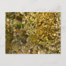 Zoek naar abstracte natuur briefkaarten Fotografie