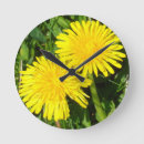Zoek naar dandelion klokken Geel