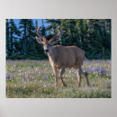 Zoek naar olympisch posters Waslaars