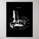 Zoek naar chirurgisch posters Dokter