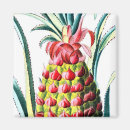 Zoek naar ananas magneten Hawaïaans