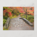 Zoek naar arboretum briefkaarten Tuin