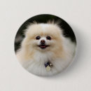 Zoek naar pantser buttons Bob en pam langrish