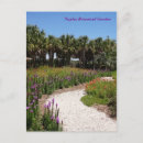 Zoek naar botanicals briefkaarten Botanisch