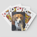 Zoek naar beagle speelkaarten Hond