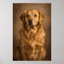 Zoek naar nadenkend posters Hond