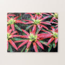 Zoek naar exotic puzzels Bloem