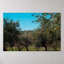 Zoek naar olijfboom posters Landbouw