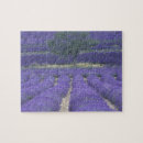 Zoek naar provence puzzels Europa