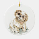 Zoek naar shih tzu ornamenten Huisdier