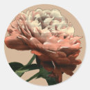 Zoek naar robijnen stickers Ruïne