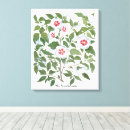 Zoek naar hibiscus kunst Natuur