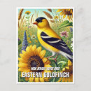 Zoek naar goudvink briefkaarten Vogels