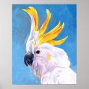 Zoek naar cockatoo kunst Wilde dieren