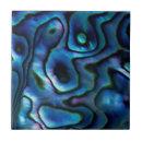 Zoek naar struik tegels Danita delimont