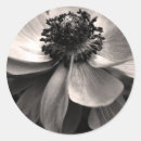 Zoek naar sympathie stickers Bloem