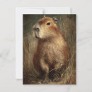 Zoek naar capybara briefkaarten Schattig