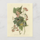 Zoek naar zwarte en geel briefkaarten Kleur