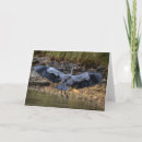 Zoek naar reiger kaarten Wild