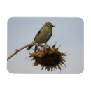 Zoek naar zonnebloemen magneten Moeder