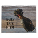 Zoek naar kippen kalenders Grappig