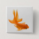 Zoek naar goudvis buttons Dier