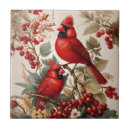 Zoek naar cardinals tegels Wild