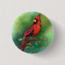Zoek naar mooi buttons Voor kinderen