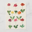 Zoek naar botanische afbeeldingen briefkaarten Voor haar