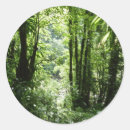 Zoek naar tropisch regenwoud stickers Landschap