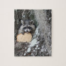 Zoek naar raccoon puzzels Schattig