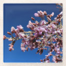 Zoek naar bloemen foto onderzetters Kleurrijk