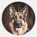 Zoek naar schapen stickers Verjaardagsfeest