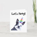 Zoek naar boston terrier uitnodigingen Terriër