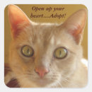 Zoek naar goedkeurings stickers Kat