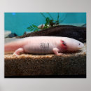 Zoek naar axolotl kunst Vis