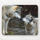 Zoek naar wolven muismatten Wolf