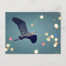 Zoek naar reiger briefkaarten Kruid