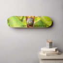Zoek naar slak skateboards Elk persoon