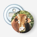 Zoek naar koeien flessenopeners Stier