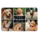 Zoek naar zwarte honden magneten Voor huisdieren