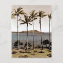 Zoek naar oahu briefkaarten Palmbomen